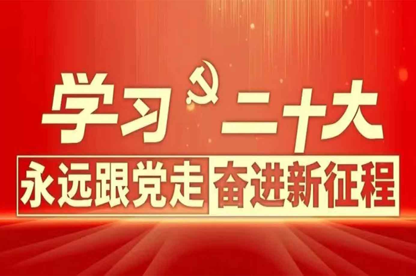 在黨建引領(lǐng)下不斷增強活力——黨的二十大精神進“兩新”組織綜述