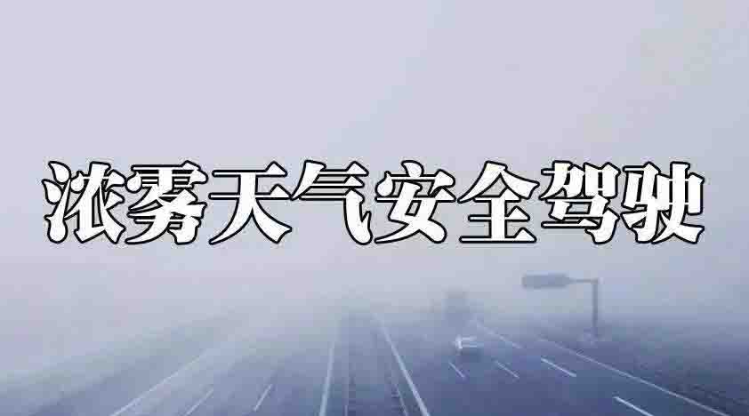 霧天行車注意事項一定要知道！